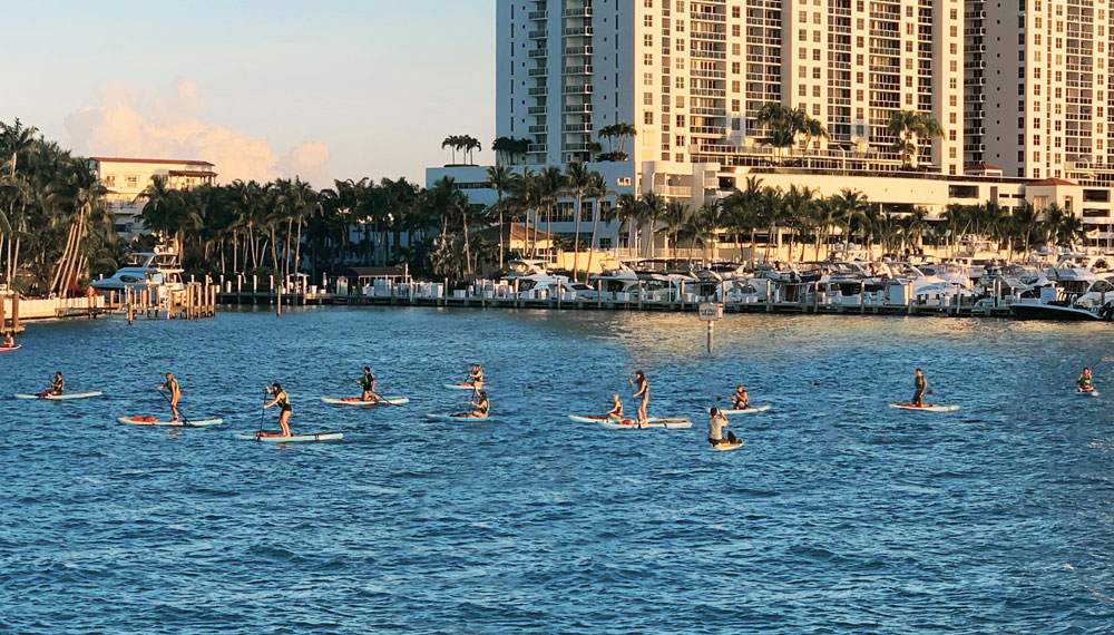 Paddleboarders on Sunset Harbour