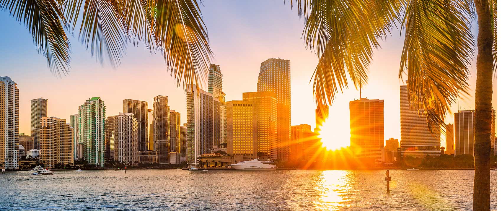 View Packages & Promotions